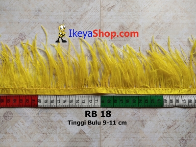 RB 18  large2